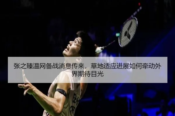 张之臻温网备战消息传来，草地适应进展如何牵动外界期待目光（yingjia）